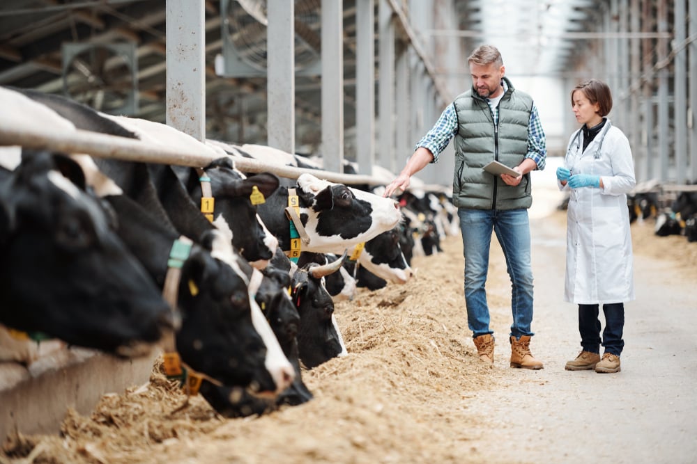 BEURREMONT DAIRY FARMER